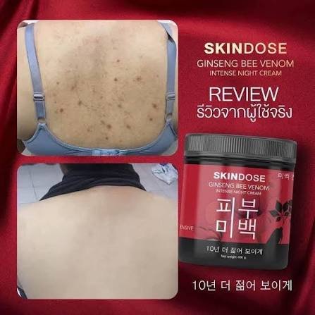 Skindose Ginseng Bee Venom Intense Night Cream - image 2